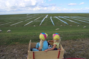 开云体育地址-青少年足球训练方法现代化，青少年足球技术